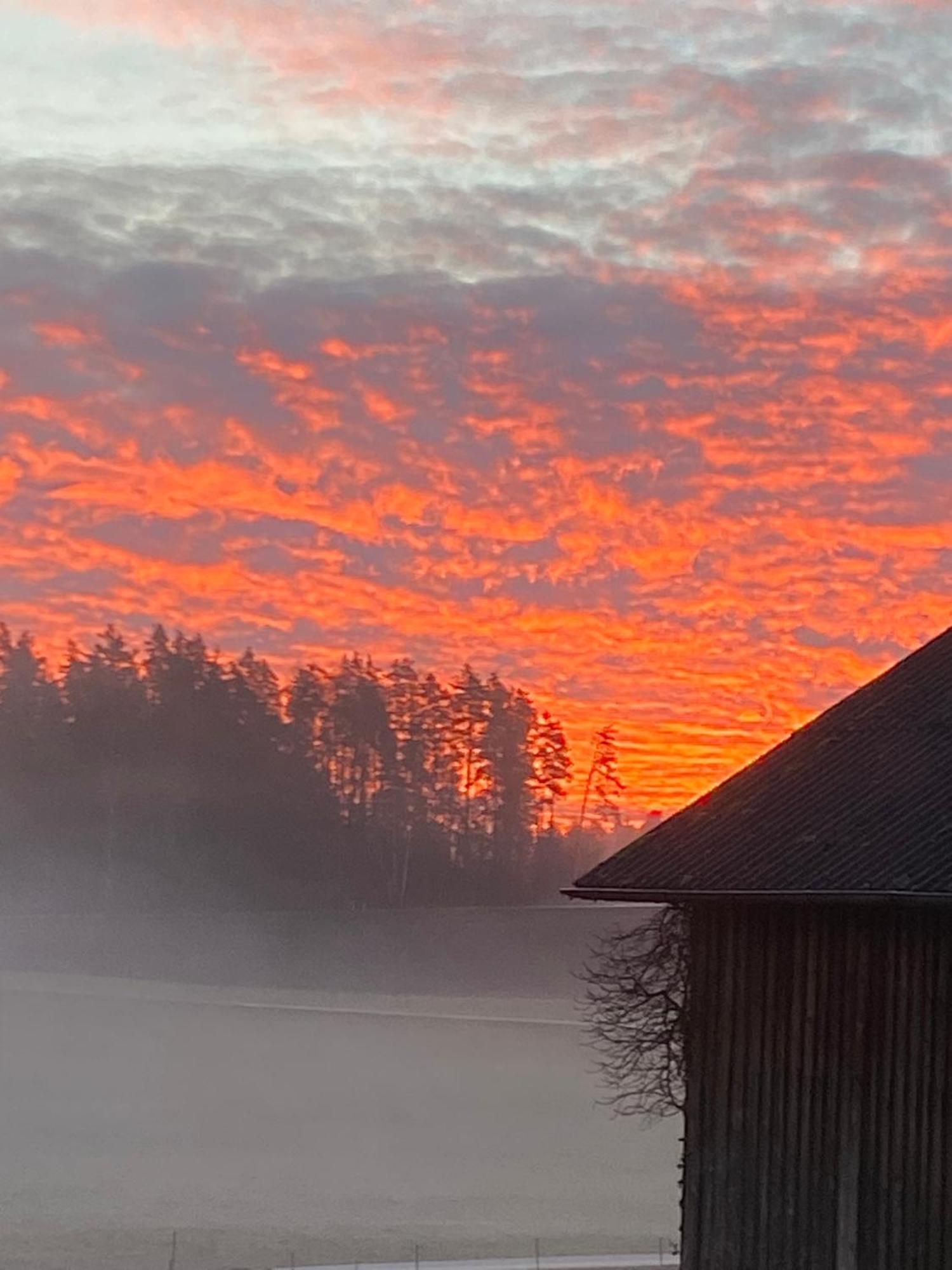 Baerenhof Lejlighed Tirschenreuth Eksteriør billede